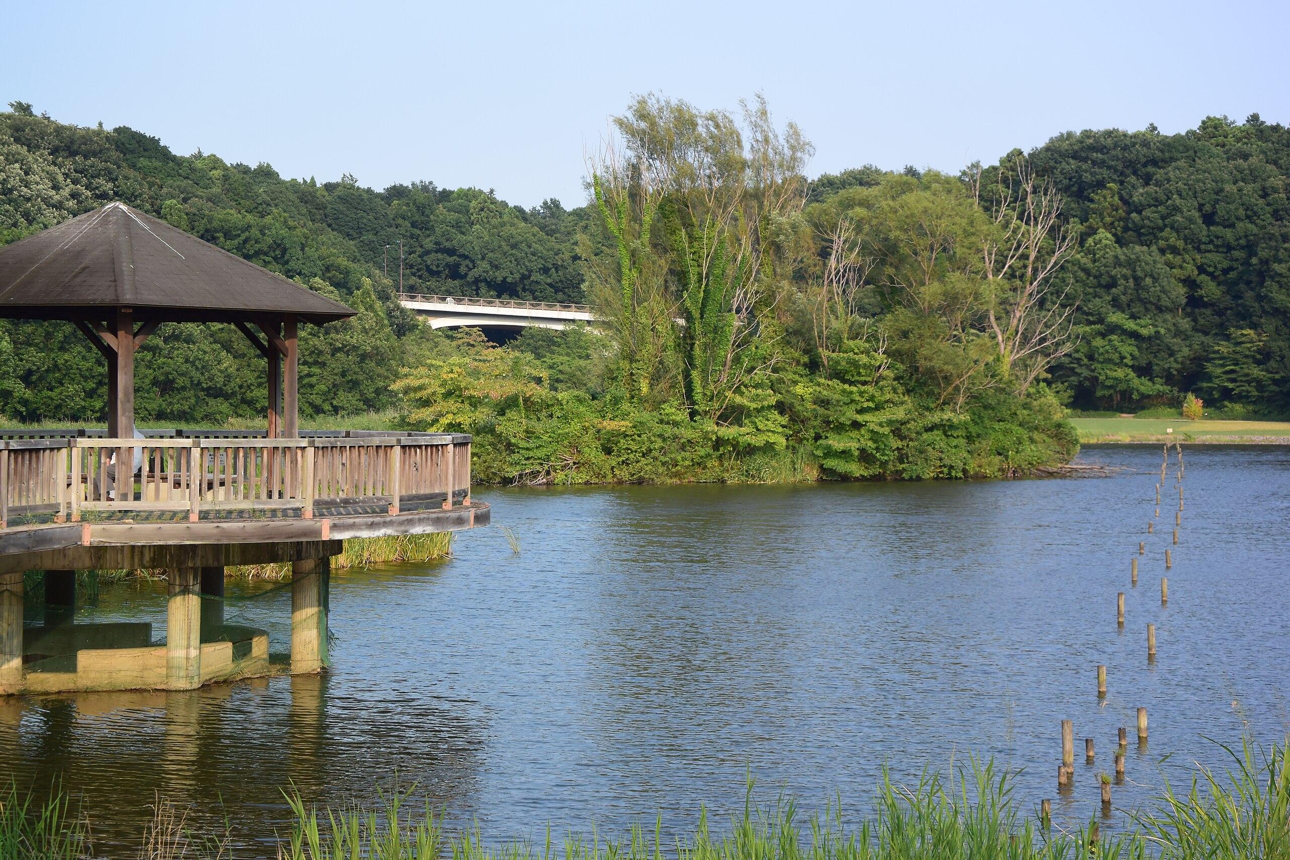 🌳 21세기의 숲과 광장 (니주잇세이키노모리토히로바) 이미지 3